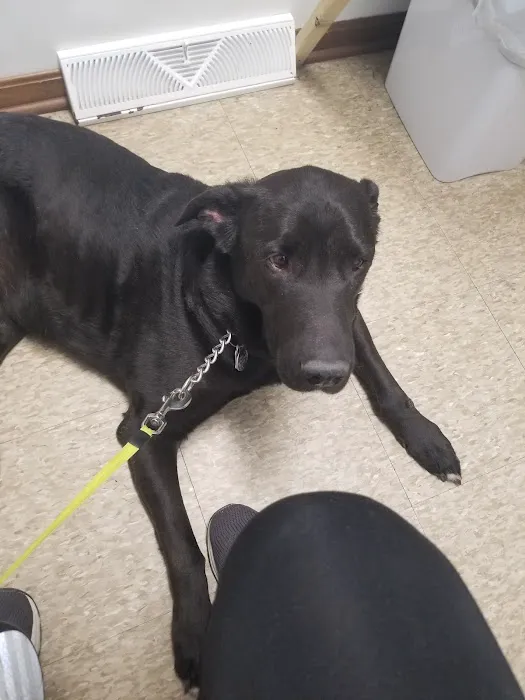 Countryside Animal Hospital Picture 4