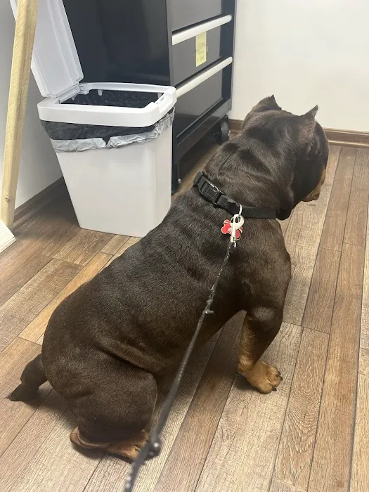 Countryside Animal Hospital Picture 8
