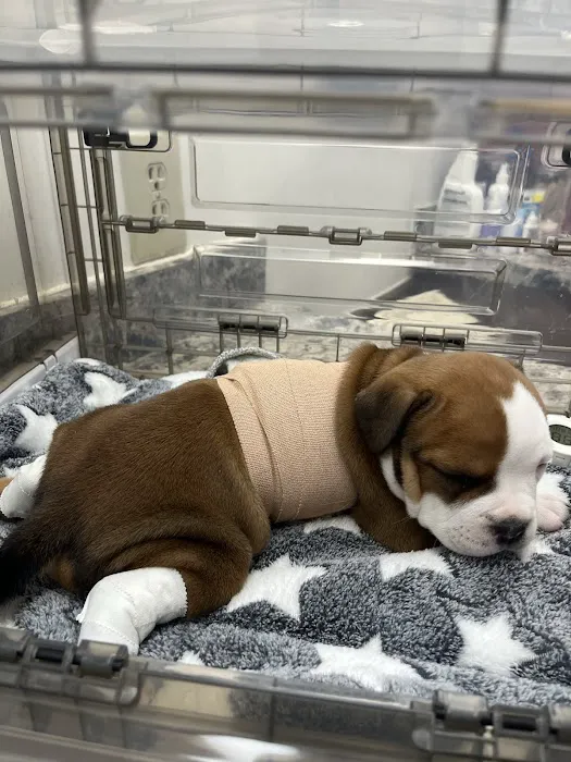 Countryside Animal Hospital Picture 9