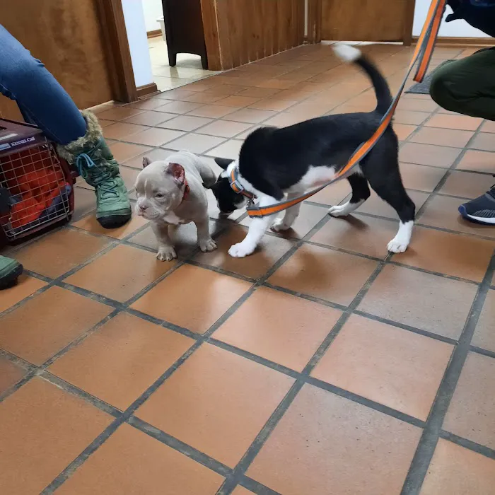 Countryside Animal Hospital Picture 10