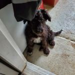 Pleasant Valley Veterinary Clinic