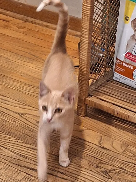 Coshocton Veterinary Clinic LLC Picture 8