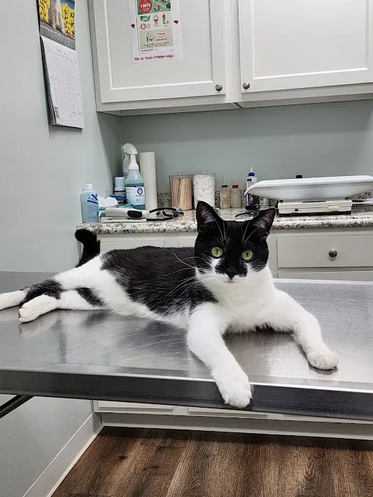 A-1 Vet Care Picture 10