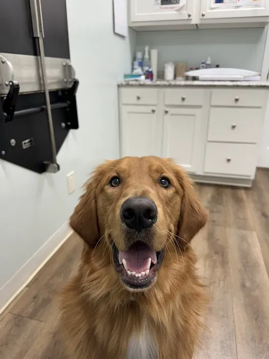 A-1 Vet Care Picture 9