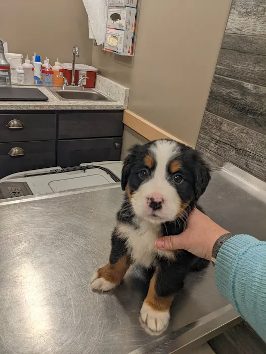 East Holmes Veterinary Clinic Picture 8