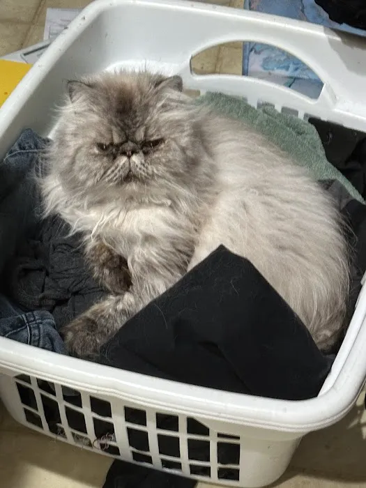 Animal Care Clinic Picture 7