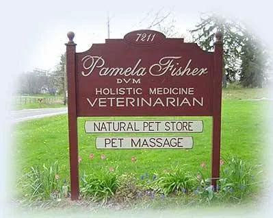Holistic Veterinary Practice - Pamela Fisher, DVM Picture 2