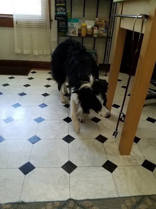Holistic Veterinary Practice - Pamela Fisher, DVM Picture 5