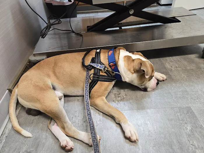 Mogadore Veterinary Hospital Picture 1