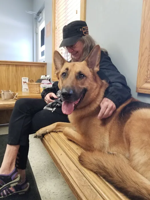 Mogadore Veterinary Hospital Picture 2