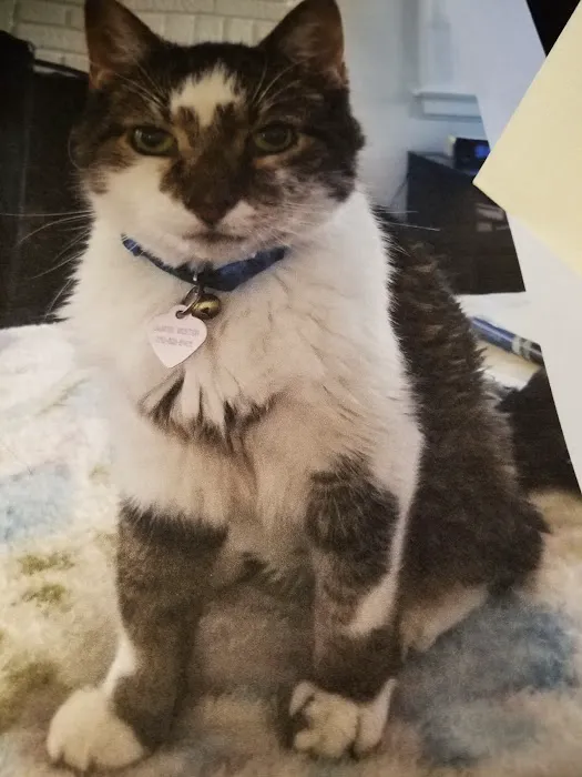 Mogadore Veterinary Hospital Picture 8