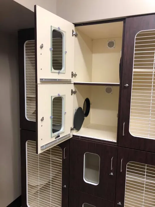 Veterinary Wellness Center of Green and The Cat Clinic Picture 7