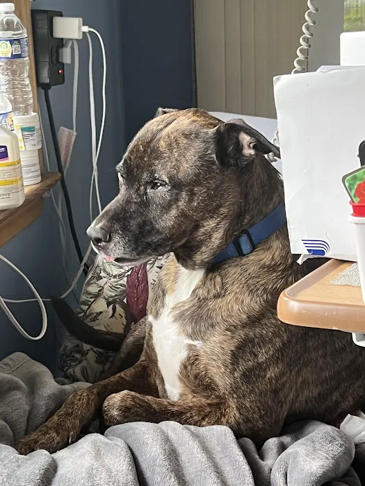 Turkeyfoot Family Pet Center Picture 8