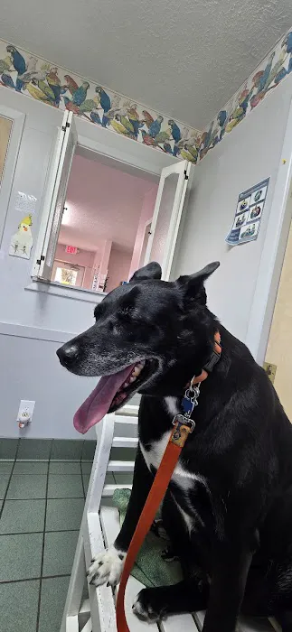 West Geauga Veterinary Hospital Picture 3