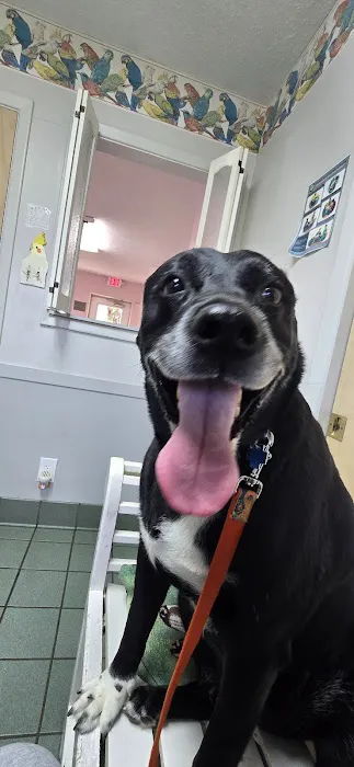 West Geauga Veterinary Hospital Picture 1