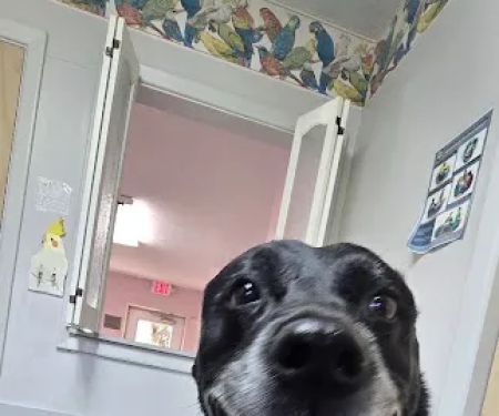 West Geauga Veterinary Hospital