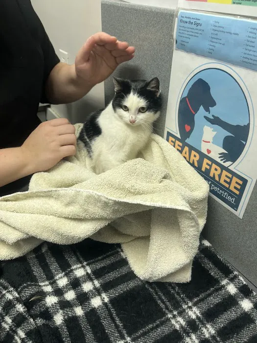 West Geauga Veterinary Hospital Picture 9