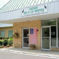 Eastside Dog & Cat Hospital: Dr Kathy Culek ico