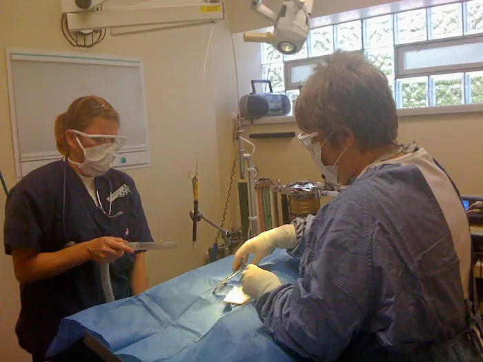 Eastside Dog & Cat Hospital: Dr Kathy Culek Picture 3