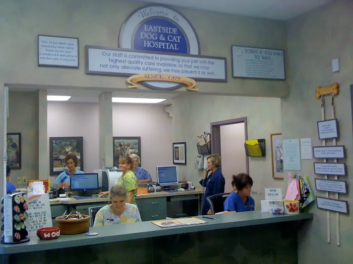 Eastside Dog & Cat Hospital: Dr Kathy Culek Picture 4
