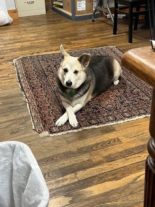 Eastside Dog & Cat Hospital Picture 5