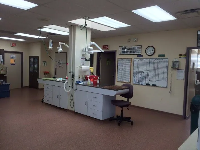 Eastside Dog & Cat Hospital Picture 7