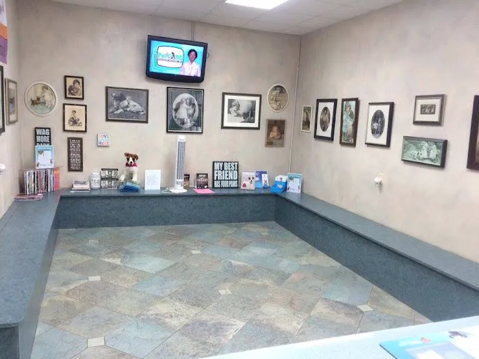 Eastside Dog & Cat Hospital Picture 8