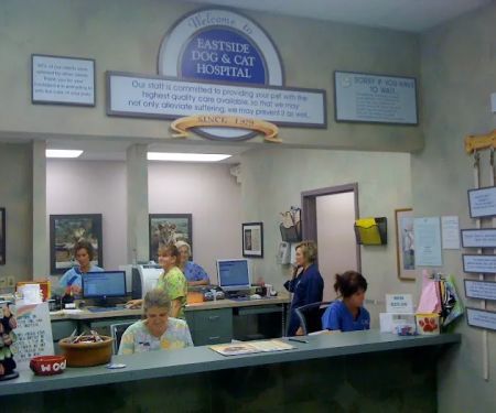 Eastside Dog & Cat Hospital: Dr Mark Rutman