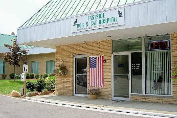 Eastside Dog & Cat Hospital: Dr Elizabeth Anselmo Picture 1
