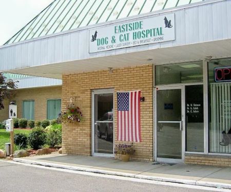 Eastside Dog & Cat Hospital: Dr Elizabeth Anselmo