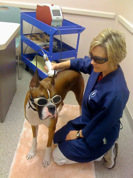 Eastside Dog & Cat Hospital: Dr Elizabeth Anselmo Picture 2
