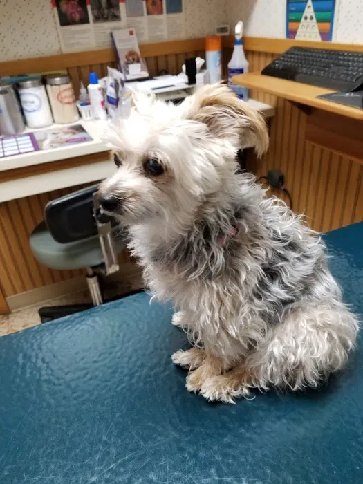 Meadowlands Veterinary Center Picture 6