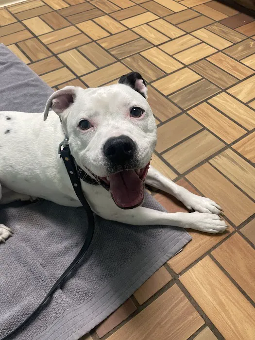 305 Animal Hospital Picture 5