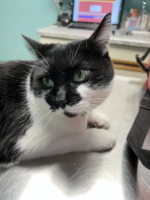 305 Animal Hospital Picture 6