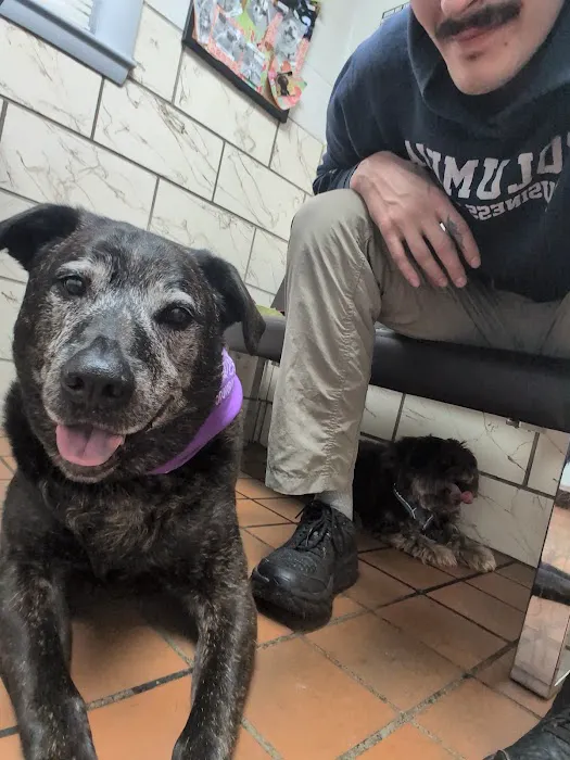 Salmon Falls Animal Hospital Picture 3
