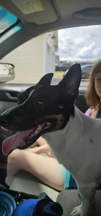 Salmon Falls Animal Hospital Picture 2