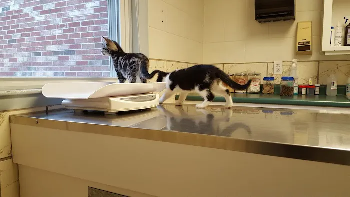 Salmon Falls Animal Hospital Picture 4