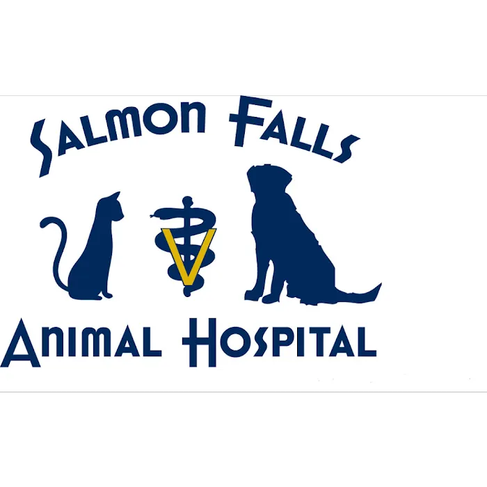 Salmon Falls Animal Hospital Picture 5