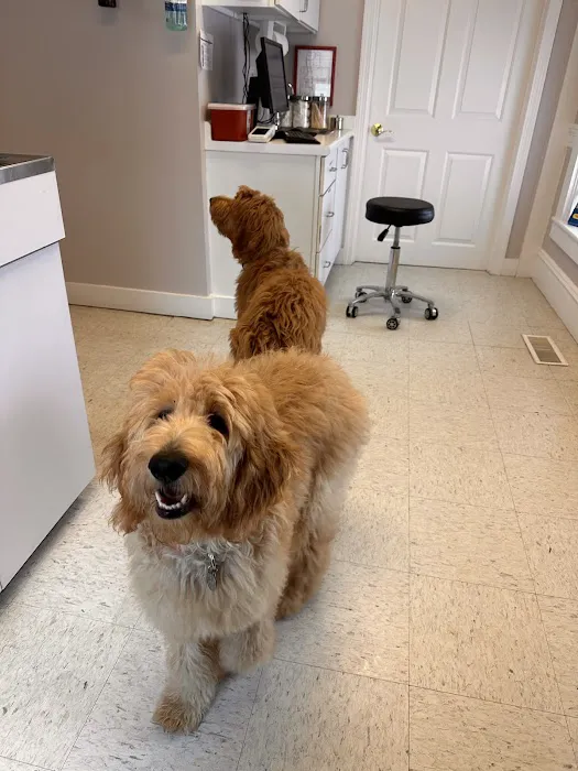 Eliot Veterinary Hospital Picture 2