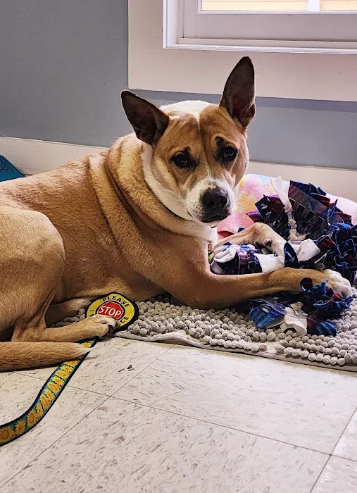 Eliot Veterinary Hospital Picture 7