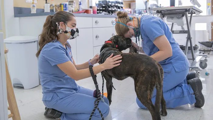 Eliot Veterinary Hospital Picture 6