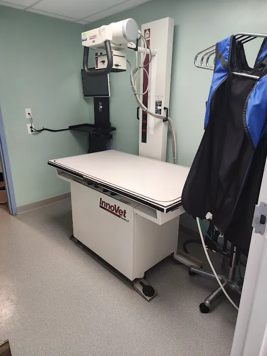 VCA Animal Medical Center Picture 3