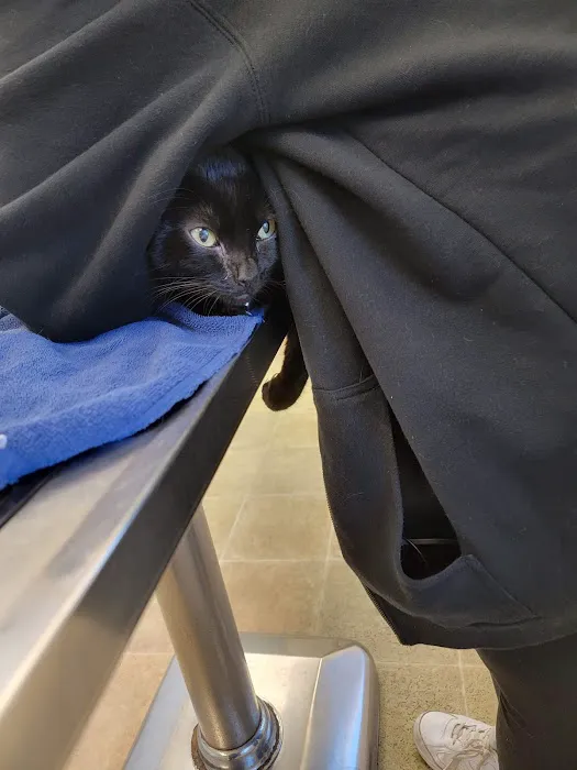 VCA Animal Medical Center Picture 1