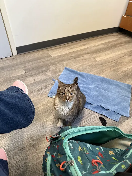 Mitchell Animal Hospital, PLLC Picture 8
