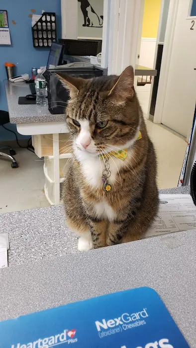 Exeter Veterinary Hospital Picture 4