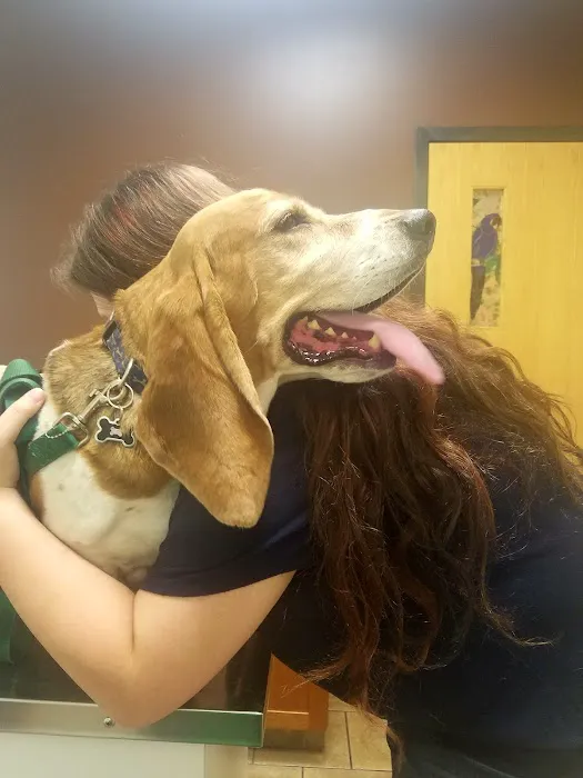 Plaistow-Kingston Animal Medical Center Picture 1