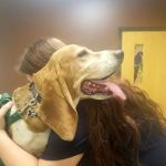 Plaistow-Kingston Animal Medical Center