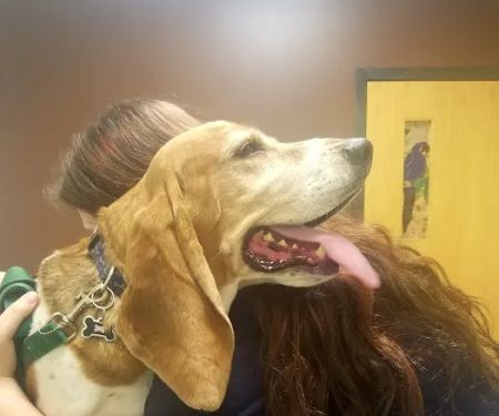 Plaistow-Kingston Animal Medical Center
