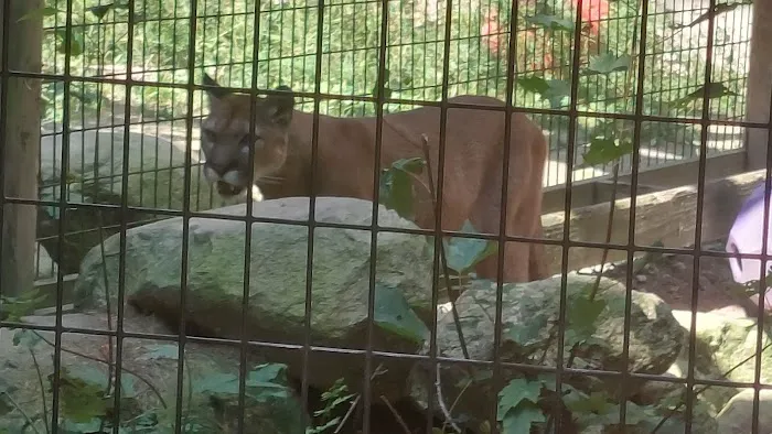 Gray Animal Center Picture 1
