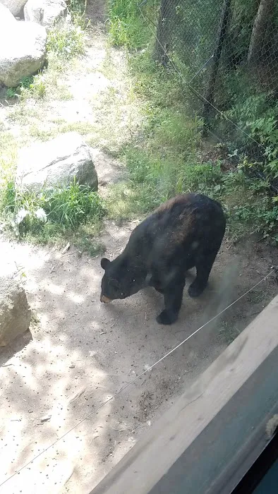 Gray Animal Center Picture 5